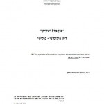העבודה הסמינריונית הראשונה שלי